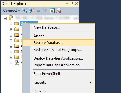 Restore database option in SQL Server