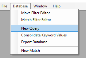 New Query menu option