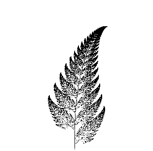 Fern drawn with an IFS